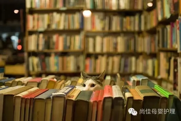 家政服務(wù)員中五大錯誤要點(diǎn)，您中招了嗎？